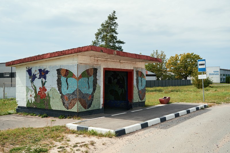 Берёза, Колледж / Бяроза, Каледж — DSC01479