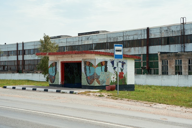 Берёза, Колледж / Бяроза, Каледж — DSC01483
