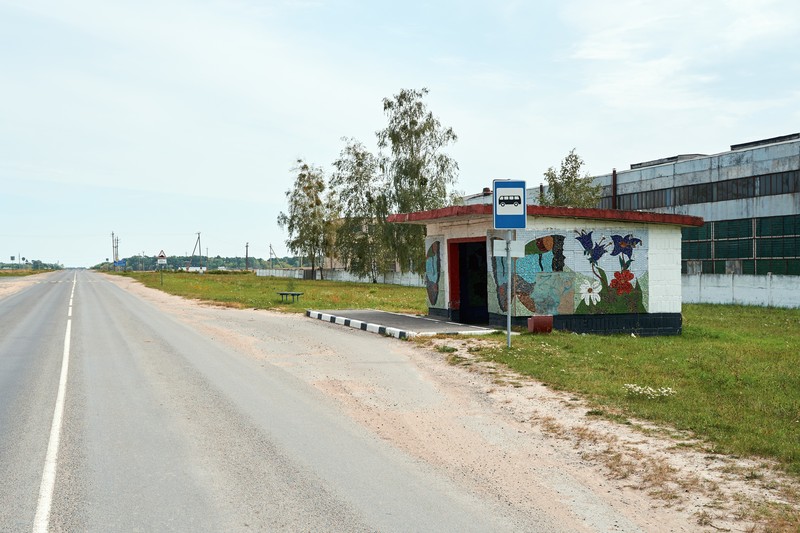 Берёза, Колледж / Бяроза, Каледж — DSC01488